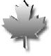 Silver Canadian Maple Leaf