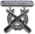Expert Rifle Badge