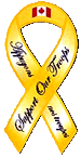 We Support Our Troops! (yellow ribbon)